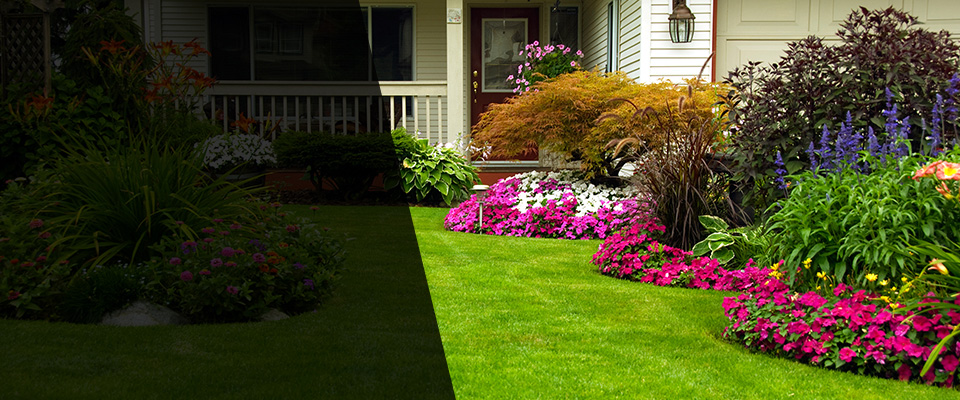 Central Islip Landscapers