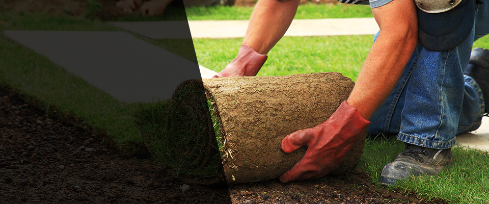 Central Islip Landscapers